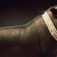 Mythlok - Babi ngepet representation Creative-visualization-of-Babi-Ngepet-The-Boar-Demon