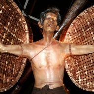 Close-up of Krahang's wing