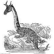 Drawing of Modern rendering of the Gambian beast Ninki Nanka