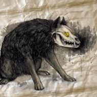 Artistic visualisation