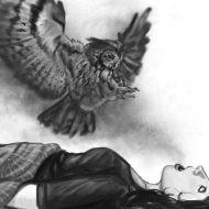 Strix staring ominously