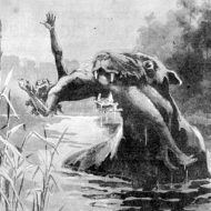 Artistic representation