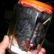 Close-up of Orang Bunian's facial features-Head