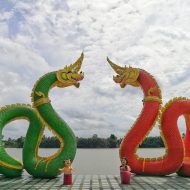 Phaya Nak and his mate swimming gracefully in the river, tails intertwined