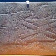 Mythlok - Shark Monster Mythlok - Shark Monster