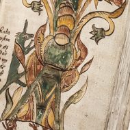 Ratatoskr carrying messages between the eagle at the top of the world tree and the serpent at the bottom.