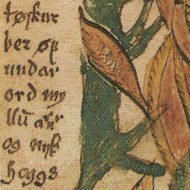 An artistic depiction of Ratatoskr in mid-air, leaping from one branch to another