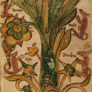 A close-up of Ratatoskr's fluffy tail, which he uses to brush off any dirt or debris on his journeys.