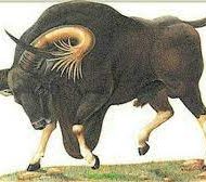 Mythlok - Kting Voar drawing