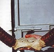 Mythlok - Kting Voar skull