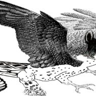 Mythlok - Amaru Drawing