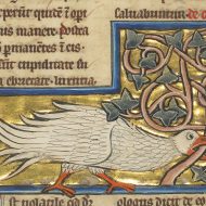 A Plover; Unknown; Th&eacute;rouanne ?, France (formerly Flanders); fourth quarter of 13th century (after 1277); Tempera colors, pen and ink, gold leaf, and gold paint on parchment; Leaf: 23.3 x 16.4 cm (9 3/16 x 6 7/16 in.); Ms. Ludwig XV 4, fol. 74