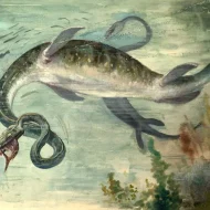 Mythlok - Manaia artistic