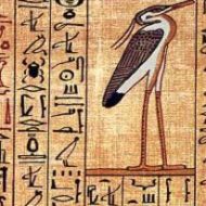 Mythlok - Bennu heiroglyphics