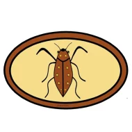 Mythlok - Dayunsi drawing