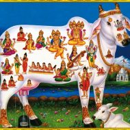 Mythlok - Kamadhenu drawing