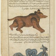 (Author) Muhammad al-Qazvini