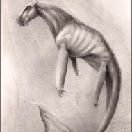 Mythlok - Mamlambo sketch