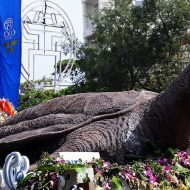 Mythlok - Rua figure