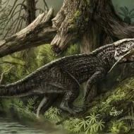 Mythlok - Gbahali illustration