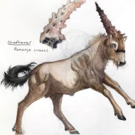 Mythlok - Shadavar drawing