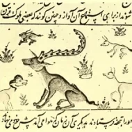 Mythlok - Shadavar illustration