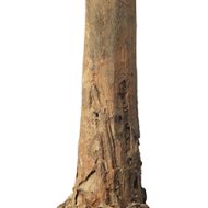 KONICA MINOLTA DIGITAL CAMERA