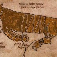 Mythlok - Hati ancient