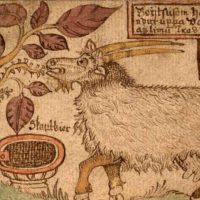 Mythlok - Heidrun old