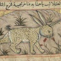 Mythlok - Al Miraj ancient