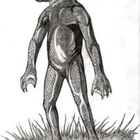 Mythlok - Intulo drawing Mythlok - Intulo drawing