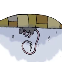 Mythlok - Ugjuknarpak art