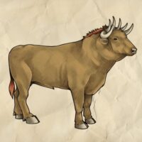 Mythlok - Hadayosh drawing