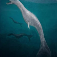 Mythlok - Tizheruk art