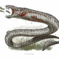 Mythlok - Tizheruk modern