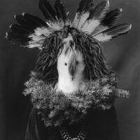 Mythlok - Hastsehogan face