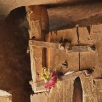 Mythlok - Cardea offering Offerings made to Roman goddess Cardea