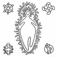 Mythlok - Mari traditional