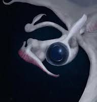 Mythlok - Ninjen Eye