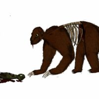 Mythlok - Rompo Modern Mythlok - Rompo Modern