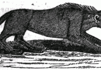 Mythlok - Rompo illustration Mythlok - Rompo illustration