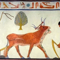 Mythlok - Bata hieroglyphics