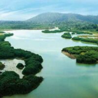 Image of Naga Tasik Chini Lake
