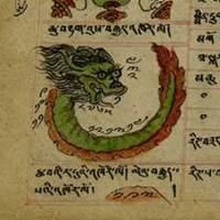 Drawing of Luu, the Water Dragon, in vibrant greens and reds.