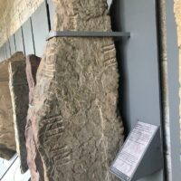 Ancient stone carved with Ogham script honoring Ogma