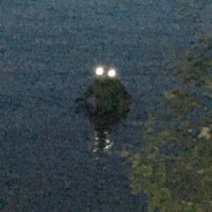 Reported actual photo of the Loveland Frog