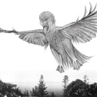 An illustration of the Washoe character Ong