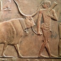 Mythlok - Apis carving A carving of the Egyptian sacred bull Apis