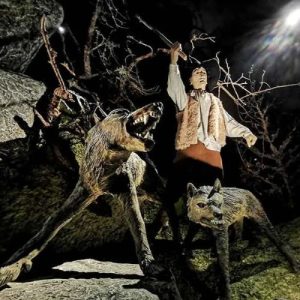 Image of the exhibit of the Beast of Gevaudan in France