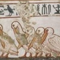 Mythlok - Henet hieroglyphics Hieroglyphics of the Egyptian goddess Henet